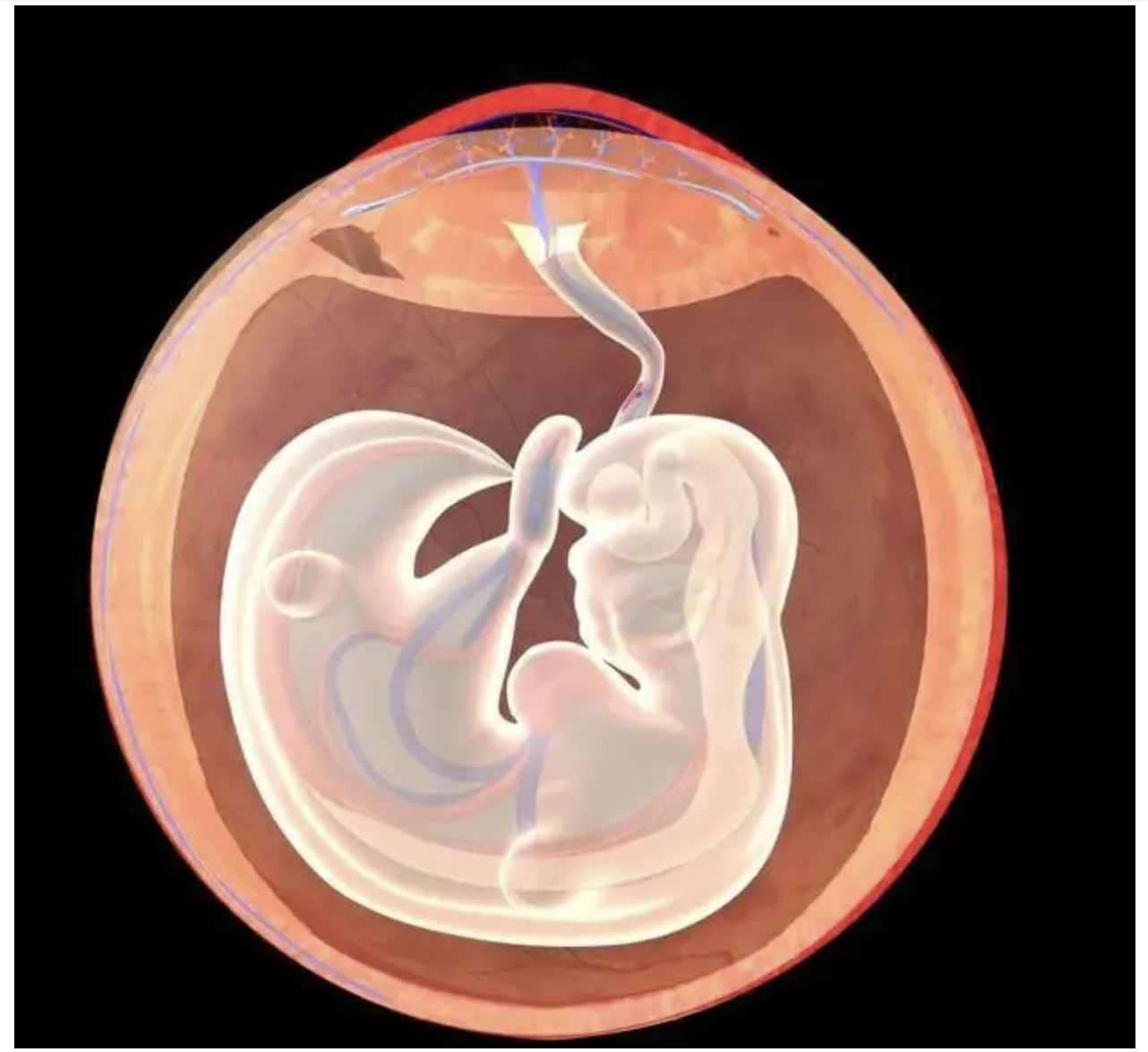 著床痛多久？妇产科医师公开著床时间、容易著床方法！