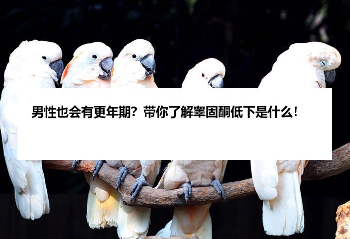 男性也会有更年期？带你了解睾固酮低下是什么！