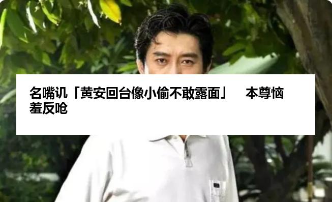 名嘴讥「黄安回台像小偷不敢露面」　本尊恼羞反呛