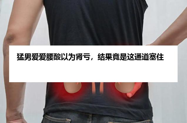 猛男爱爱腰酸以为肾亏，结果竟是这通道塞住