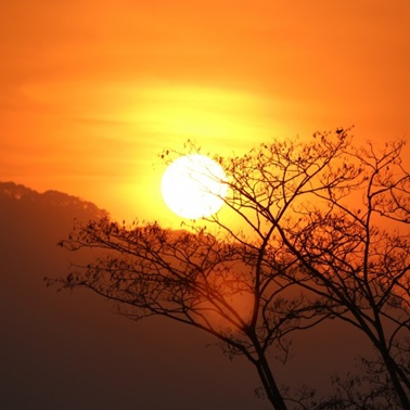 哈利波特大团圆 艾玛华森惊曝差点退出 他比罗琳还惨