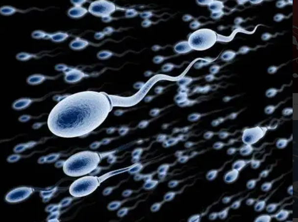 无精症治疗后还有可能怀孕吗？