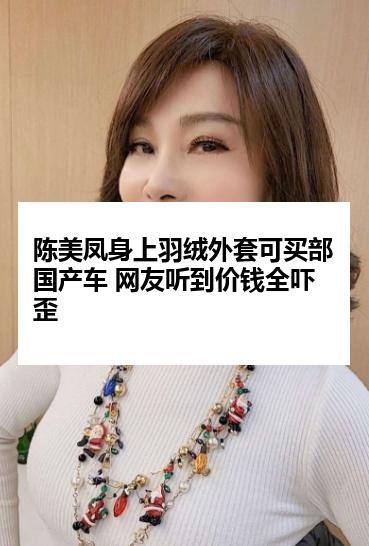 陈美凤身上羽绒外套可买部国产车 网友听到价钱全吓歪