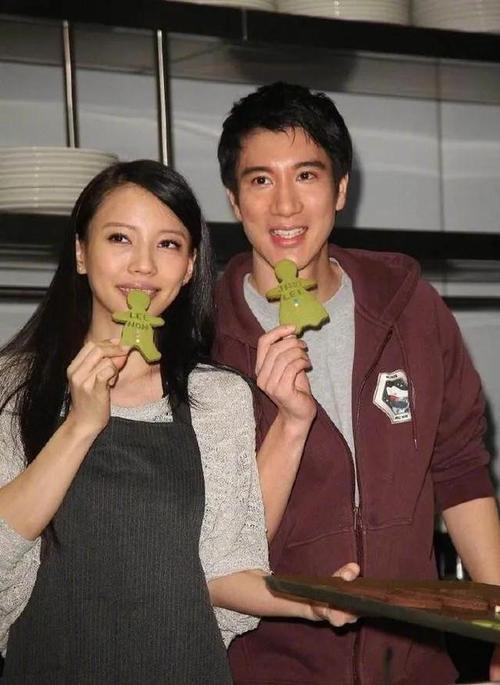 李靓蕾「恐坐牢6个月」陷危机　王力宏离婚诉讼内容曝光