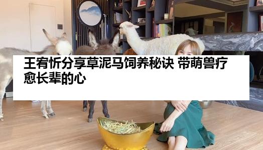 王宥忻分享草泥马饲养秘诀 带萌兽疗愈长辈的心