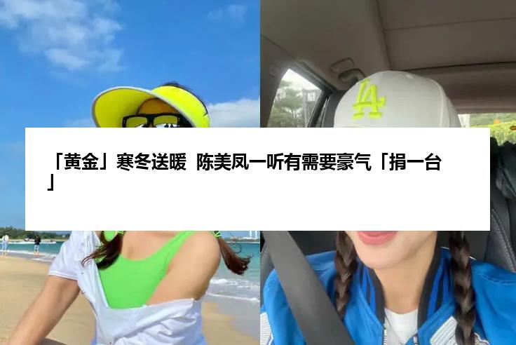 「黄金」寒冬送暖  陈美凤一听有需要豪气「捐一台」