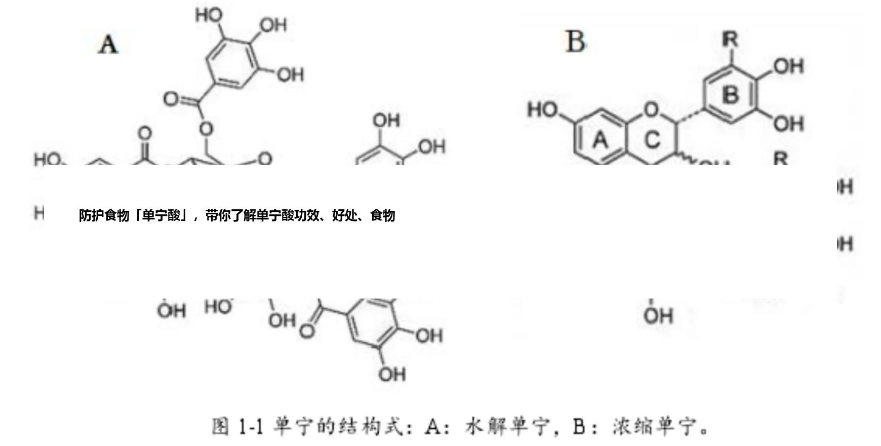 防护食物「单宁酸」，带你了解单宁酸功效、好处、食物