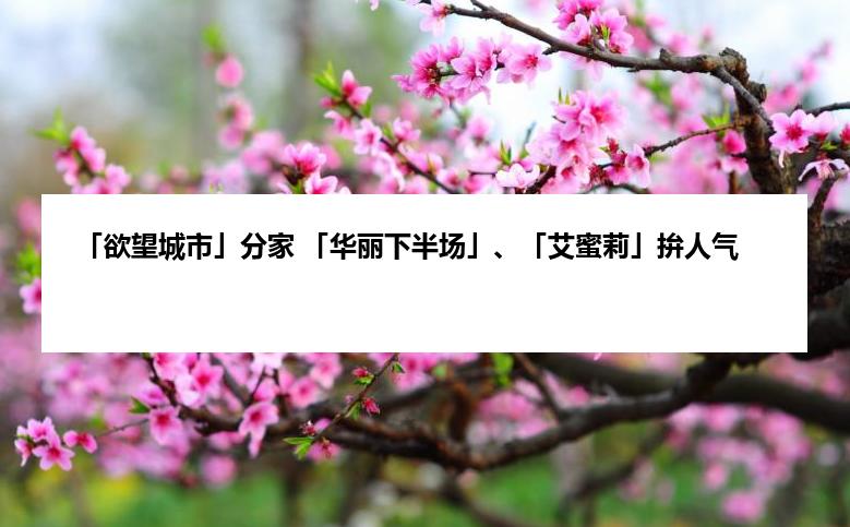 「欲望城市」分家 「华丽下半场」、「艾蜜莉」拚人气