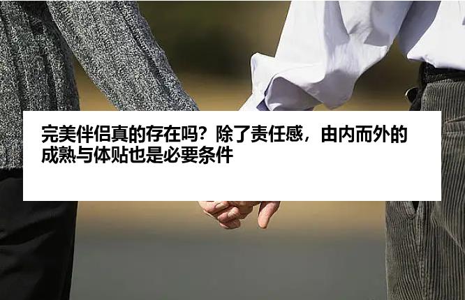 完美伴侣真的存在吗？除了责任感，由内而外的成熟与体贴也是必要条件