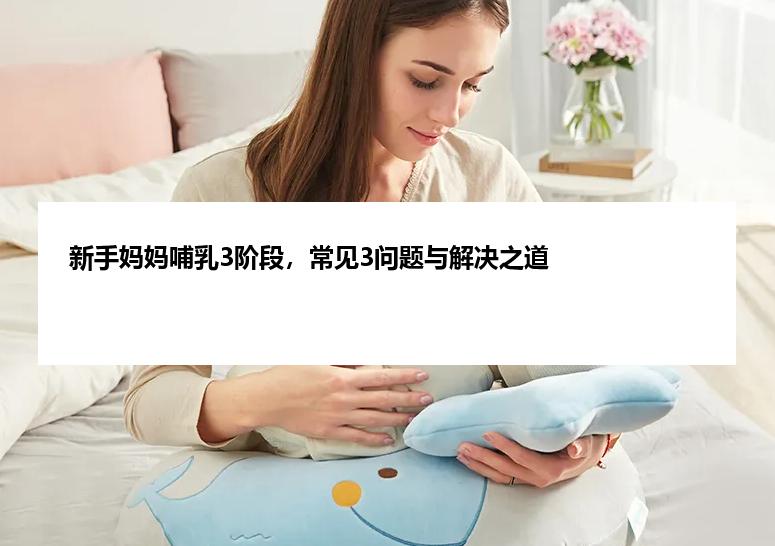 新手妈妈哺乳3阶段，常见3问题与解决之道