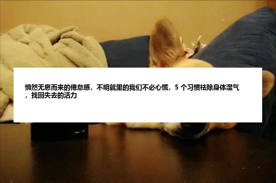 悄然无息而来的倦怠感，不明就里的我们不必心慌，5 个习惯祛除身体湿气，找回失去的活力
