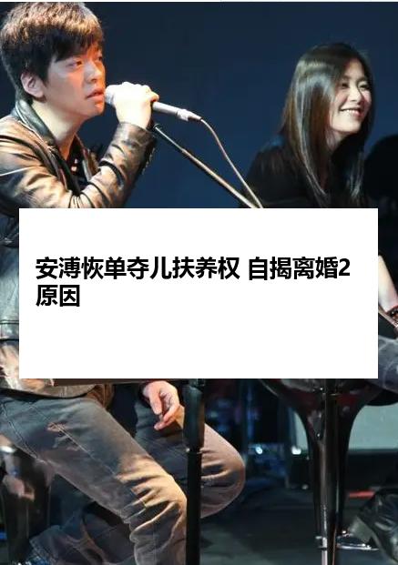 安溥恢单夺儿扶养权 自揭离婚2原因