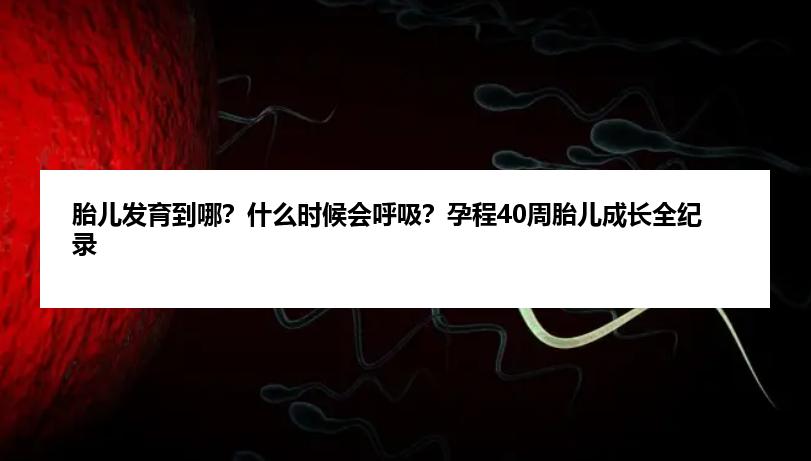 胎儿发育到哪？什么时候会呼吸？孕程40周胎儿成长全纪录