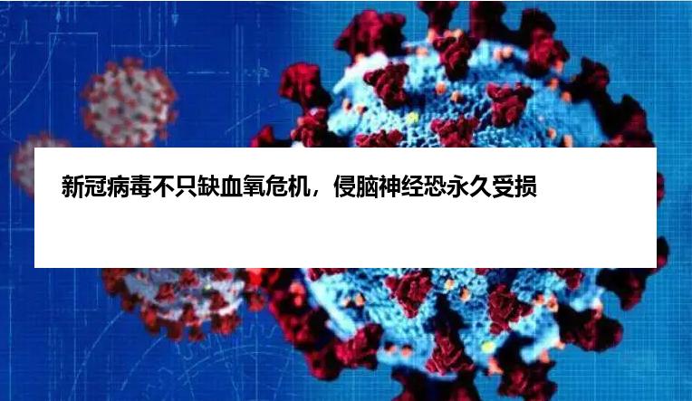 新冠病毒不只缺血氧危机，侵脑神经恐永久受损
