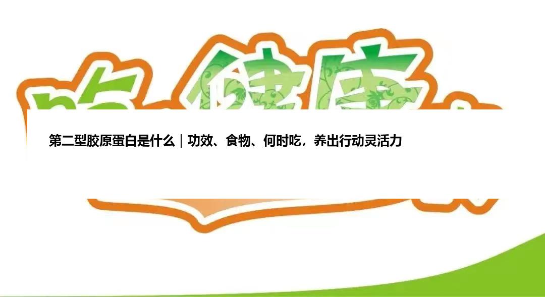 第二型胶原蛋白是什么｜功效、食物、何时吃，养出行动灵活力