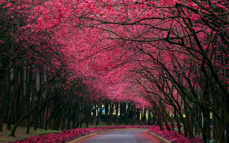 第二胎依然优雅生产，40W禾馨民权自然产全记录，全程不会痛的关键告诉你！