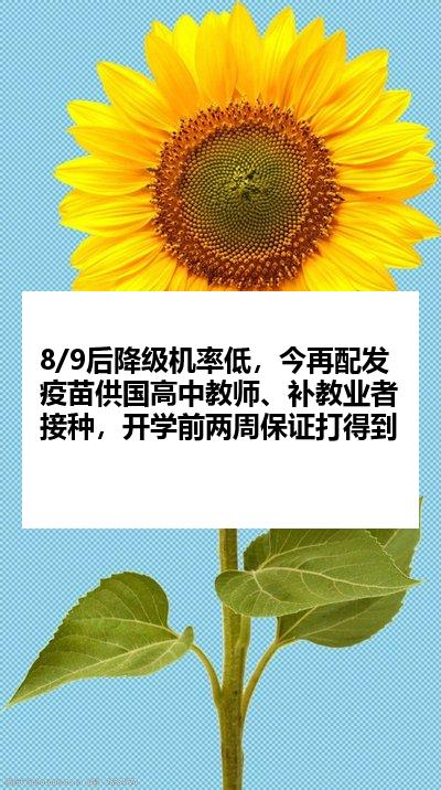 8/9后降级机率低，今再配发疫苗供国高中教师、补教业者接种，开学前两周保证打得到