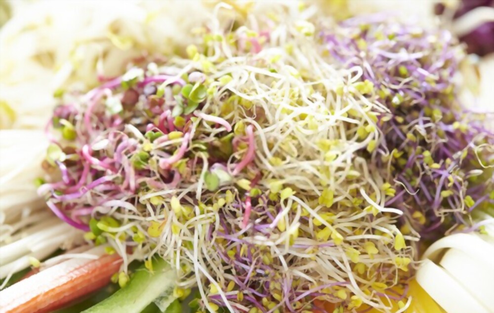 宝宝几个月能吃豆芽?答案可能会让妈妈感到惊讶!