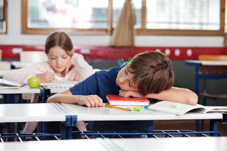 孩子在翻译后回到学校,他们如何对上学感兴趣?