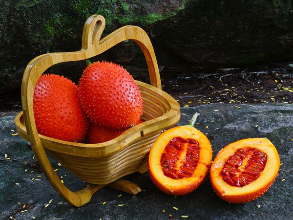 Gac精油对幼儿有什么作用,每个母亲都需要探索