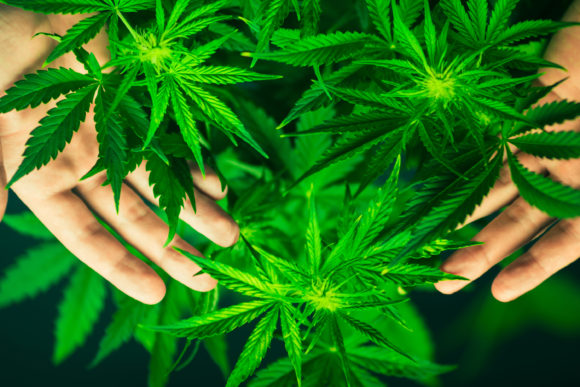 14种治疗儿童牛皮癣的方法可帮助婴儿不再发痒