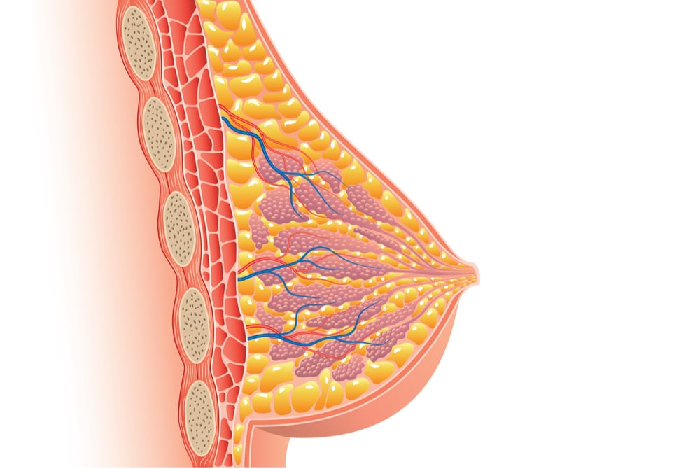 女孩的乳房在青春期如何发育?
