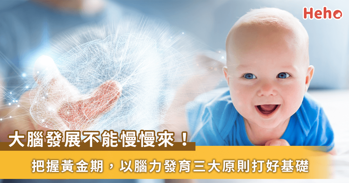 0~3岁是大脑发展关键！小儿神经科医师说明脑力发育三大原则：陪伴、刺激、营