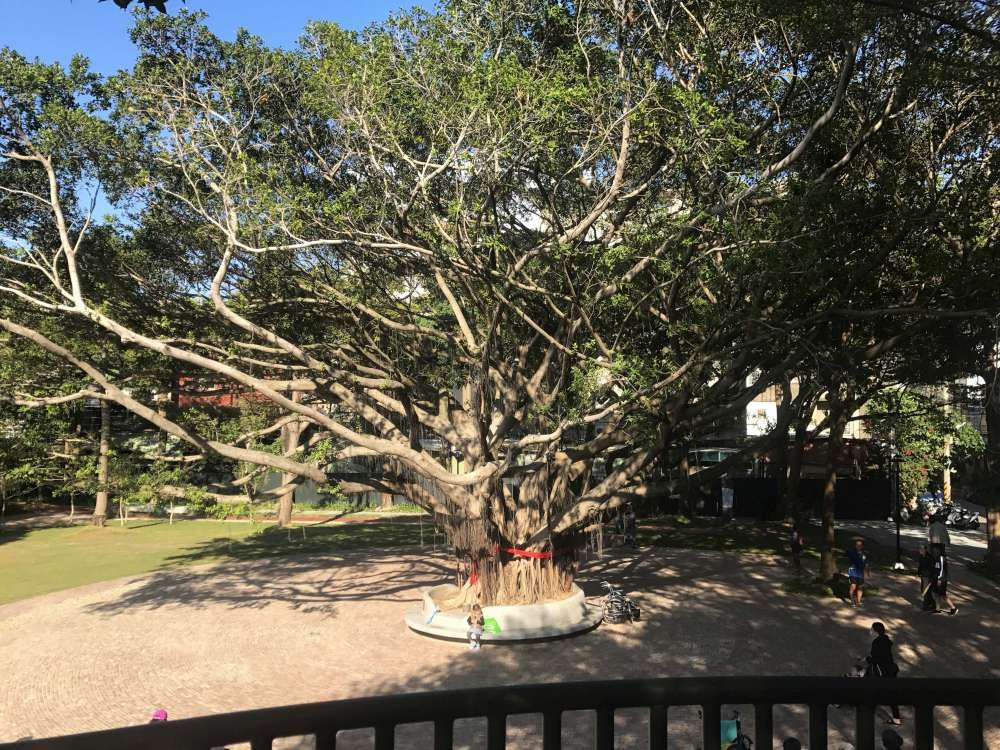 长和公园_08_1-1000.jpg 百年老树旁的游戏场-新竹长和公园,高架树屋瞭望平台+地景磨石子溜滑梯