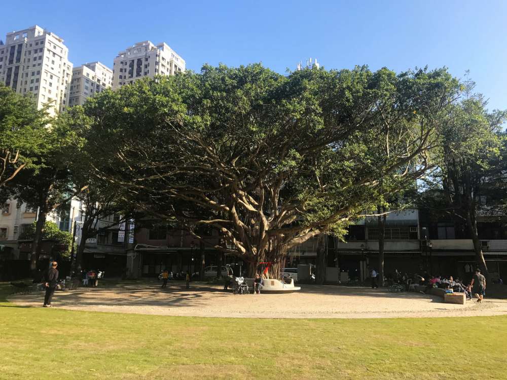 长和公园_08_3-1000.jpg 百年老树旁的游戏场-新竹长和公园,高架树屋瞭望平台+地景磨石子溜滑梯