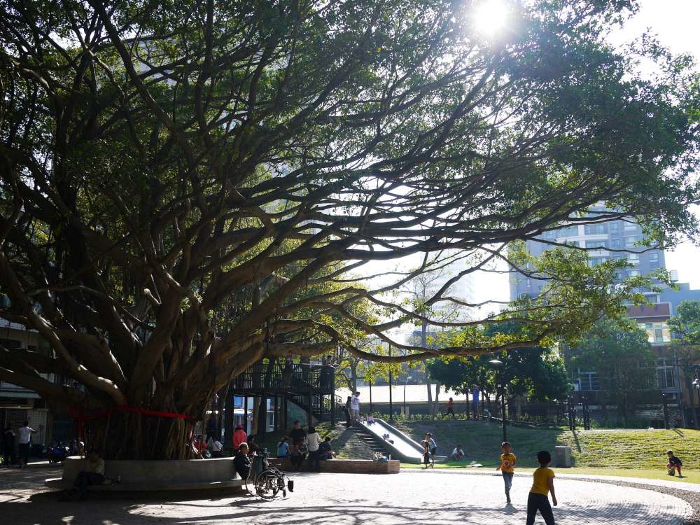 长和公园_01-1000.jpg 百年老树旁的游戏场-新竹长和公园,高架树屋瞭望平台+地景磨石子溜滑梯