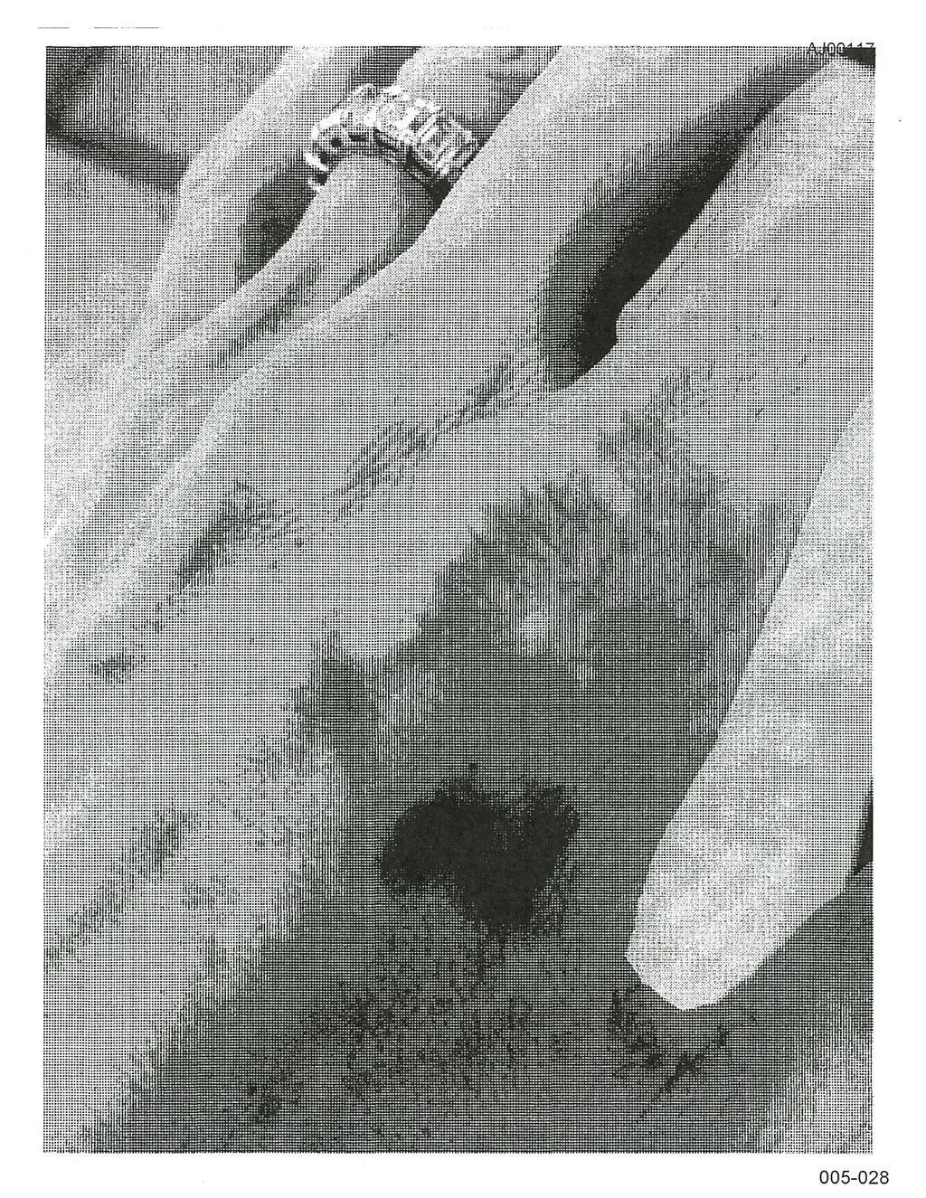 难怪裘莉赶尽杀绝？被小布啤酒浇头、动粗攻击伤照曝光