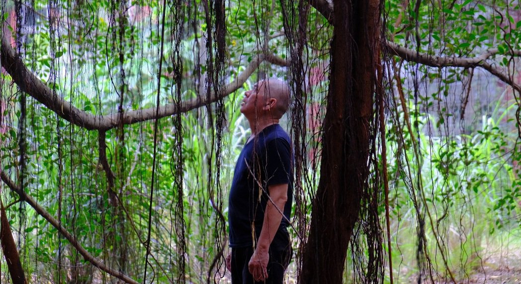 连续3年相约电影节 蔡明亮携新作「月亮 树」首映