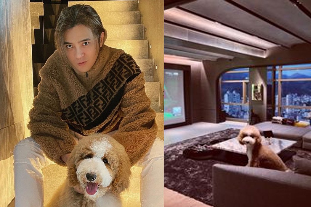 罗志祥豪宅「客厅大到像电影院」顶楼没盖泳池变这样