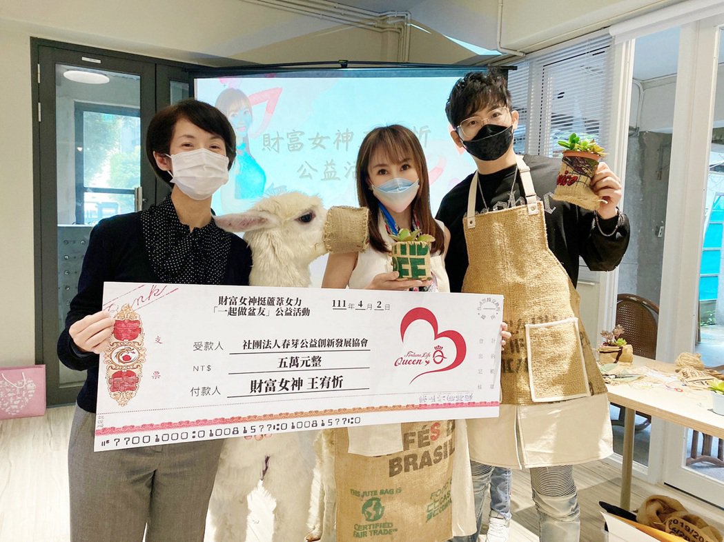 羊驼便便变美食10亿身价女星揭内幕