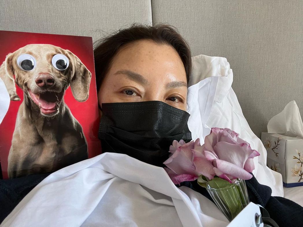 杨紫琼自爆确诊新冠肺炎紧急取消好莱坞新片宣传