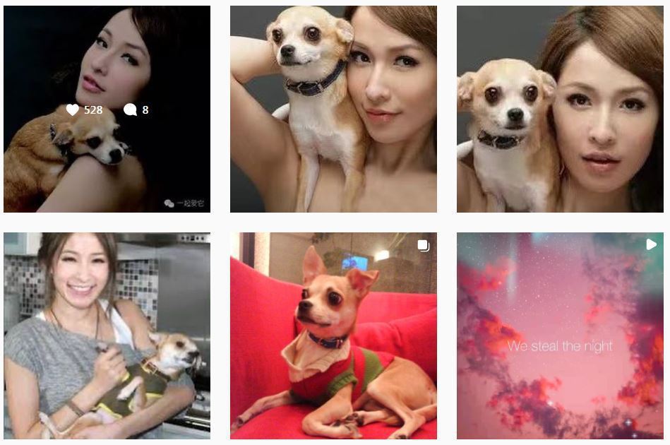 萧亚轩「儿子」在ICU努力著5连PO直呼：你完整了妈妈