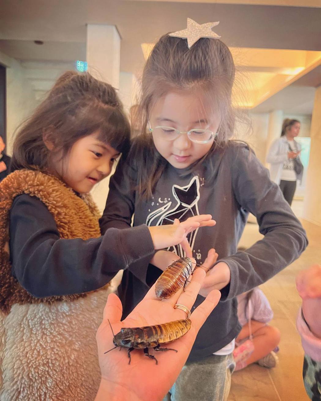 咘咘、波妞又想带生物回家修杰楷帮贾静雯顾蛙被喷尿