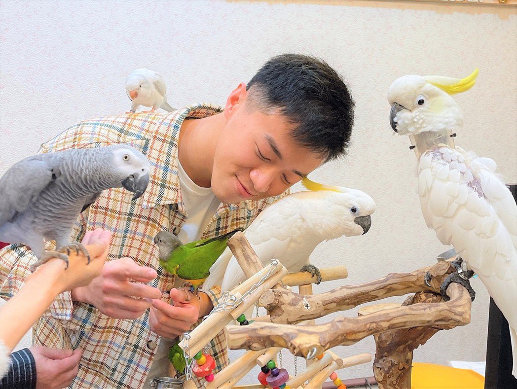 促使「宠物鸟搭乘大众运输」过关 男星见鹦鹉遭弃心痛