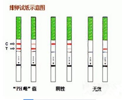 怀孕多久可以用试纸测出来,怎样使用排卵试纸测怀孕?