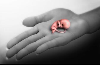 流产不是猛虎走兽，选对方式是关键