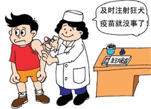 女子售假狂犬疫苗致人死亡，疫苗怎么打才安全？