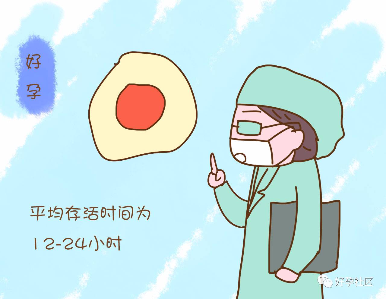 卵子的存活时间最长也就24小时，如何利用好并快速好孕？