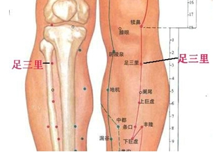 小腿筋(1).jpg 教你缓解胃痛的小妙招