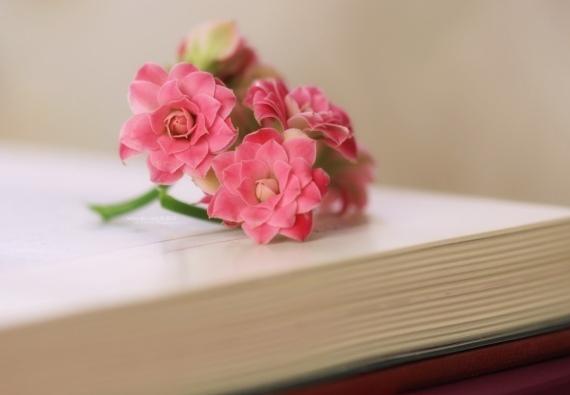 备孕怀孕时间一览表，什么时间该干啥？