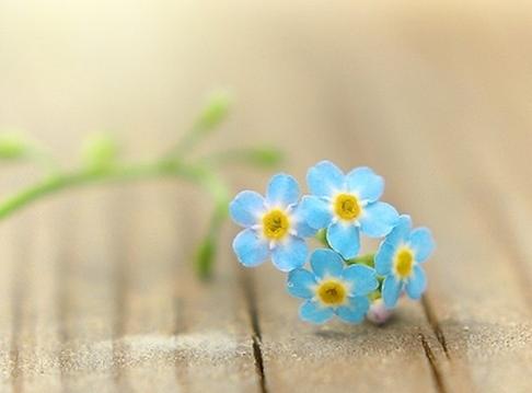 备孕怀孕时间一览表，什么时间该干啥？