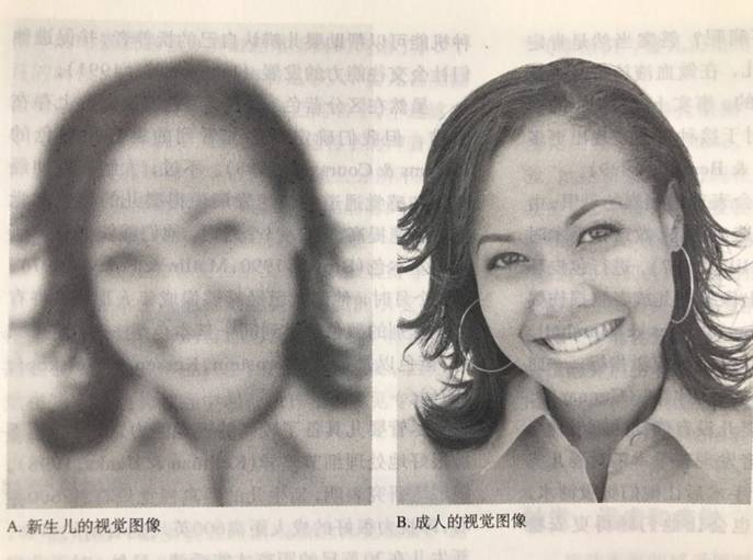 小婴儿怎么玩？别错过这些开发宝宝智力的小游戏