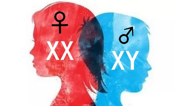 屁股大生男孩是真的吗 关于生男孩的那些小秘诀