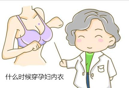 孕妇内衣哪个牌子好 怀孕几个月开始换内衣