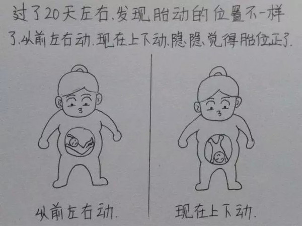 一个男人用漫画描绘了老婆从怀孕到生产的所有细节,超真实超感人。这组漫画最近传遍网络,小编分享在此,与各位读者共享这份感动,献给天下所有的父母,你们都会体会这份辛苦,也献给一位孩子刚刚降生的父亲。