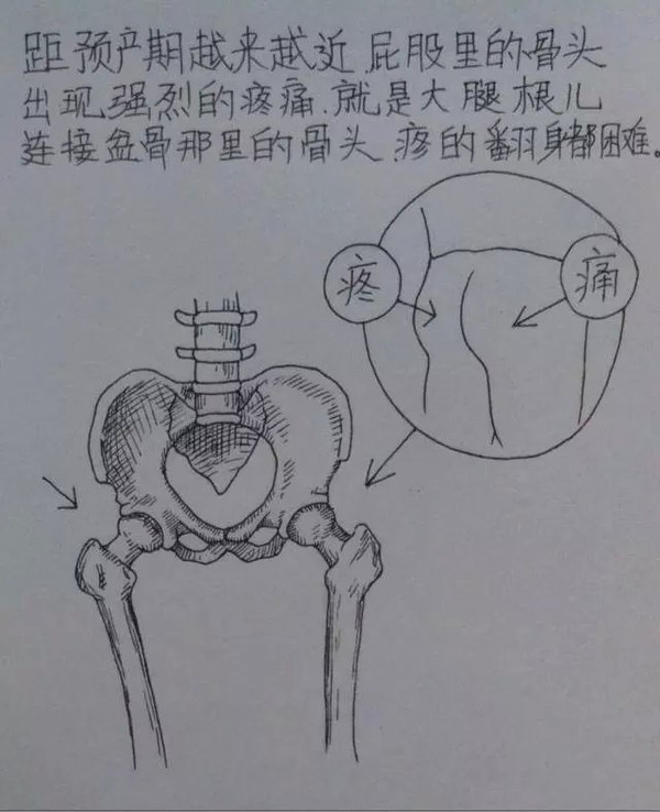 一个男人用漫画描绘了老婆从怀孕到生产的所有细节,超真实超感人。这组漫画最近传遍网络,小编分享在此,与各位读者共享这份感动,献给天下所有的父母,你们都会体会这份辛苦,也献给一位孩子刚刚降生的父亲。
